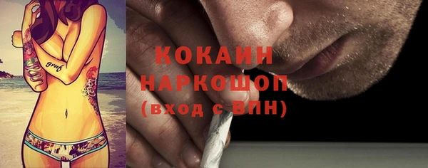 стафф Арсеньев