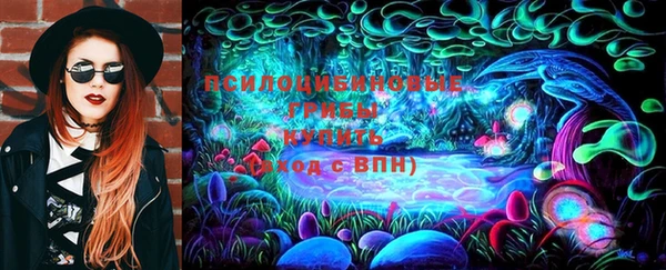 Альфа ПВП Баксан