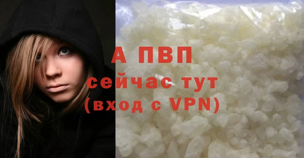 стафф Арсеньев