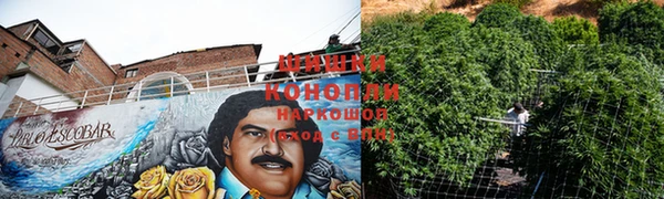 дмт Балабаново